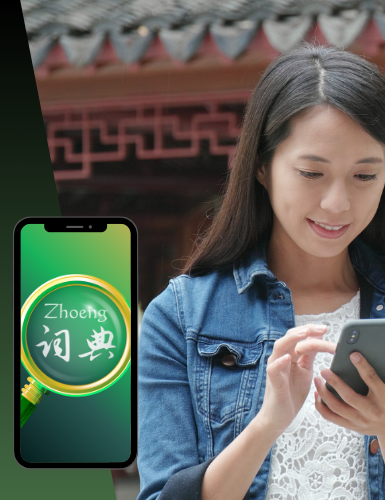 Student using Zhoeng app offline